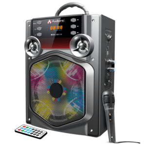 Rex-11 Portable Speaker - Image 1