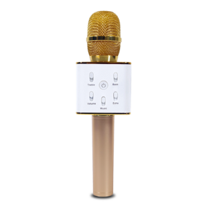DWM-10 Karaoke Rechargeable Mic
