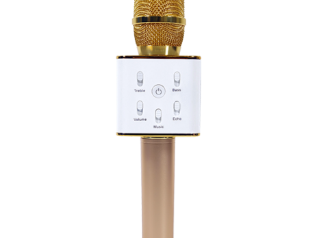 DWM-10 Karaoke Rechargeable Mic