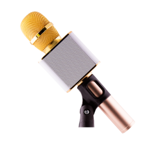 Mehfil MH-201 Karaoke Mic - Image 4