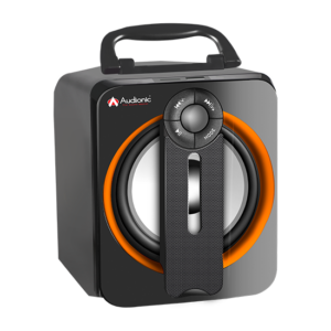 REX-4 Speaker - Image 4
