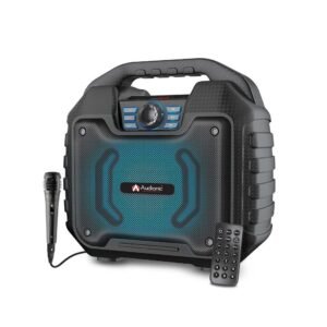 AUDIONIC REX 12+ SPEAKERS - Image 1