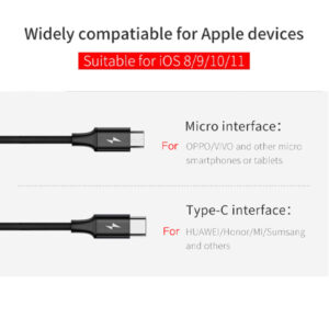 Baseus Rapid Series 2-in-1 Cable