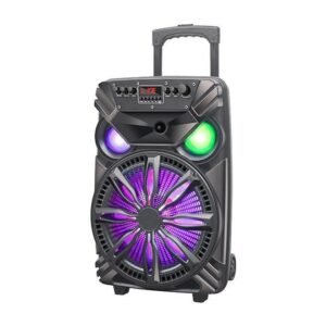SPACE Roar Trolley Speaker R Series 15 RR-890 - Image 4