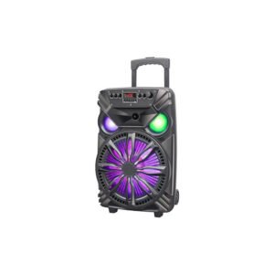 SPACE Roar Trolley Speaker R Series 15 RR-890 - Image 1