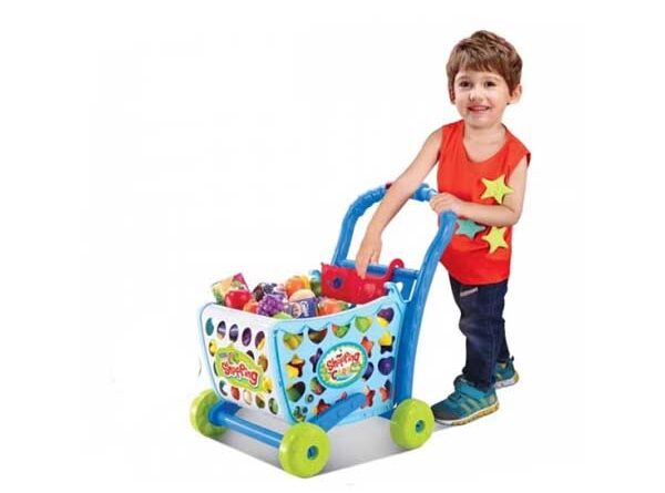 Shopping Cart Price in Pakistan