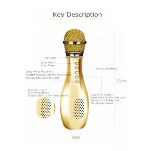 Q007 Professional Wireless Karaoke Microphone - Image 4