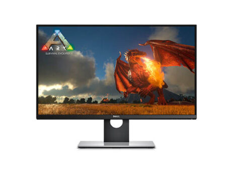 Dell 22 inch LCD Monitor