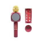 Wster ws-1816 Wireless Microphone