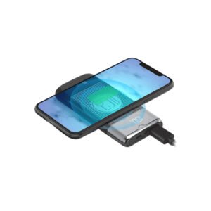 Dany Power Bank 10000mah (G-101)