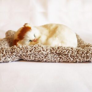 Cute Sleeping Cat Dashboard Mat