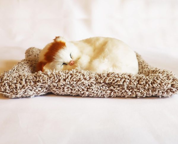 Cute Sleeping Cat Dashboard Mat