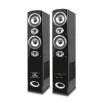 Audionic CLASSIC 7.7 Plus tower speaker with dual 8-inch drivers and HD wireless mic