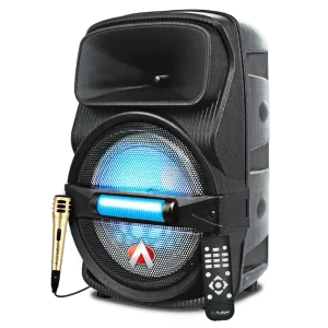 Wired HD microphone connected to Audionic Classic Masti-85 karaoke port