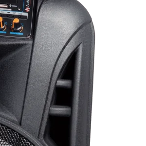 Close up of master control panel on Audionic MH-1212 Advance speaker