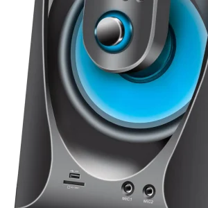 Dual karaoke microphone ports on Audionic Reborn RB-95 subwoofer unit