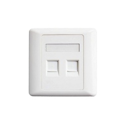Rear view of Corning 3M dual port wall plate displaying keystone mounting clips and screw holes