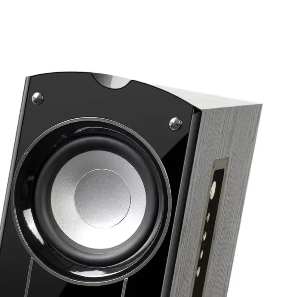 Compact wireless remote control included with Audionic Classic 5 speaker